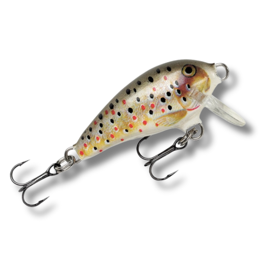 SEÑUELO RAPALA FAT RAP 3CM 4G TR