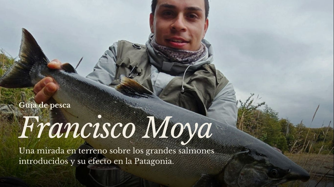 Salmones introducidos en la Patagonia: la visión del guía Francisco Moya