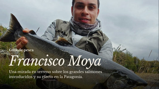Salmones introducidos en la Patagonia: la visión del guía Francisco Moya