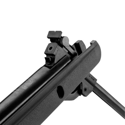 RIFLE GAMO BIG CAT 5.5 IGT 1000FPS